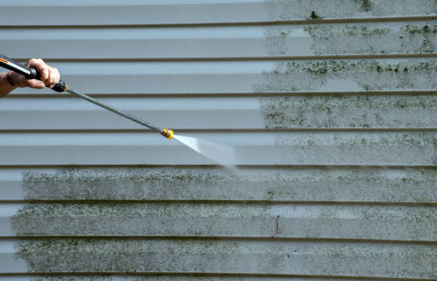 Best Pressure Washing Driveway  in Venice, FL
