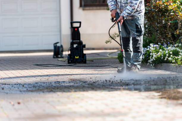 Best Power Washing Near Me  in Venice, FL